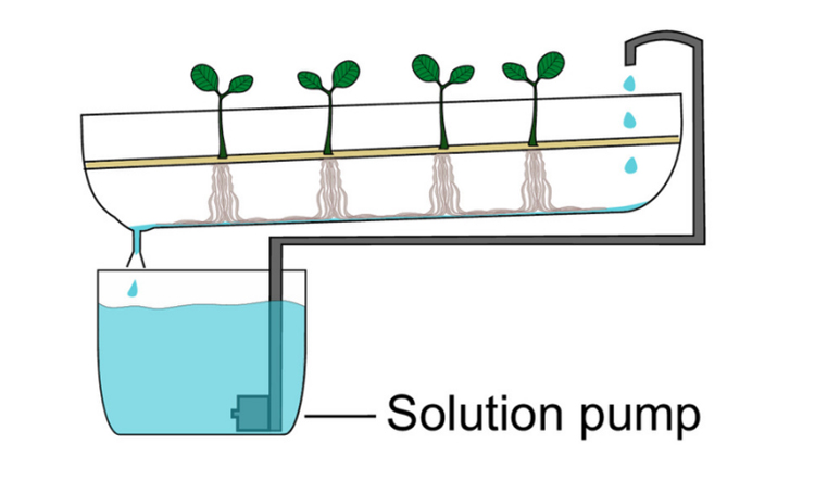NFT水培系統(tǒng)原理圖