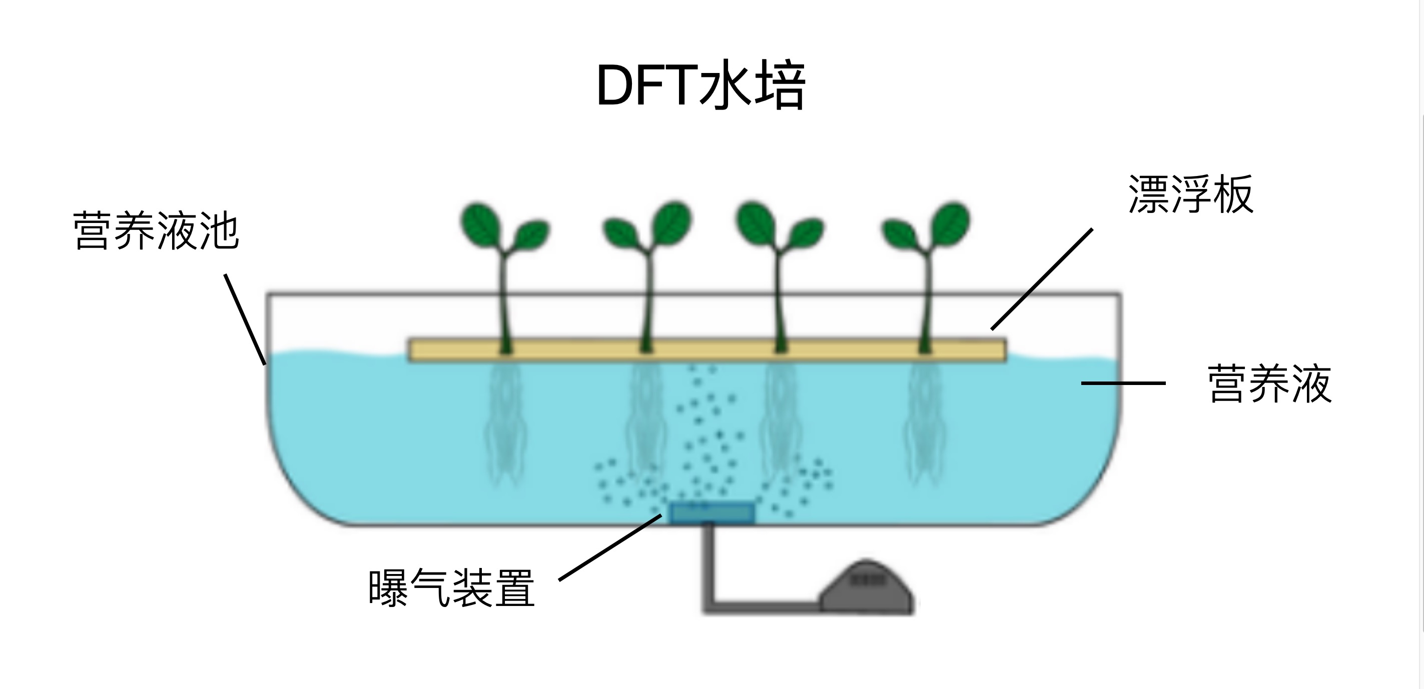 DFT水培邏輯示意圖