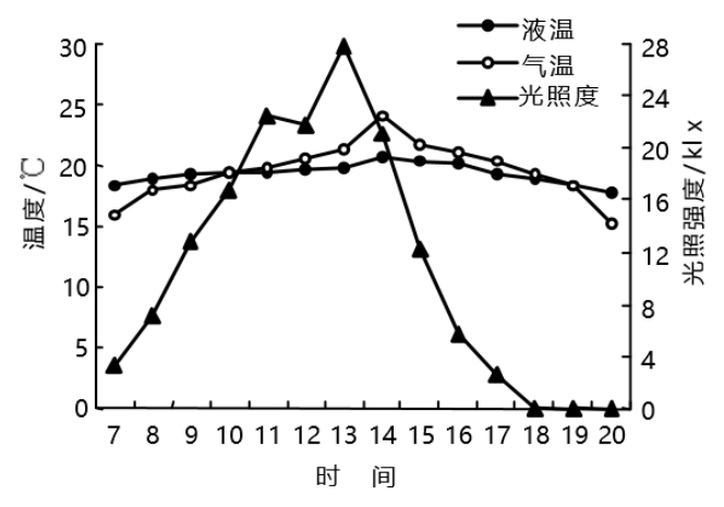 DFT水培營養液溫度日變化