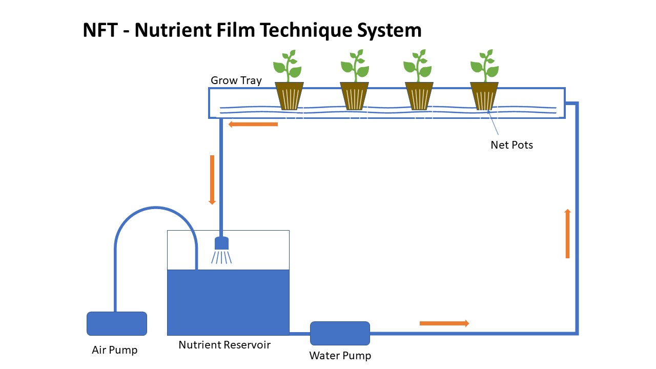 NFT水培營養液循環方式