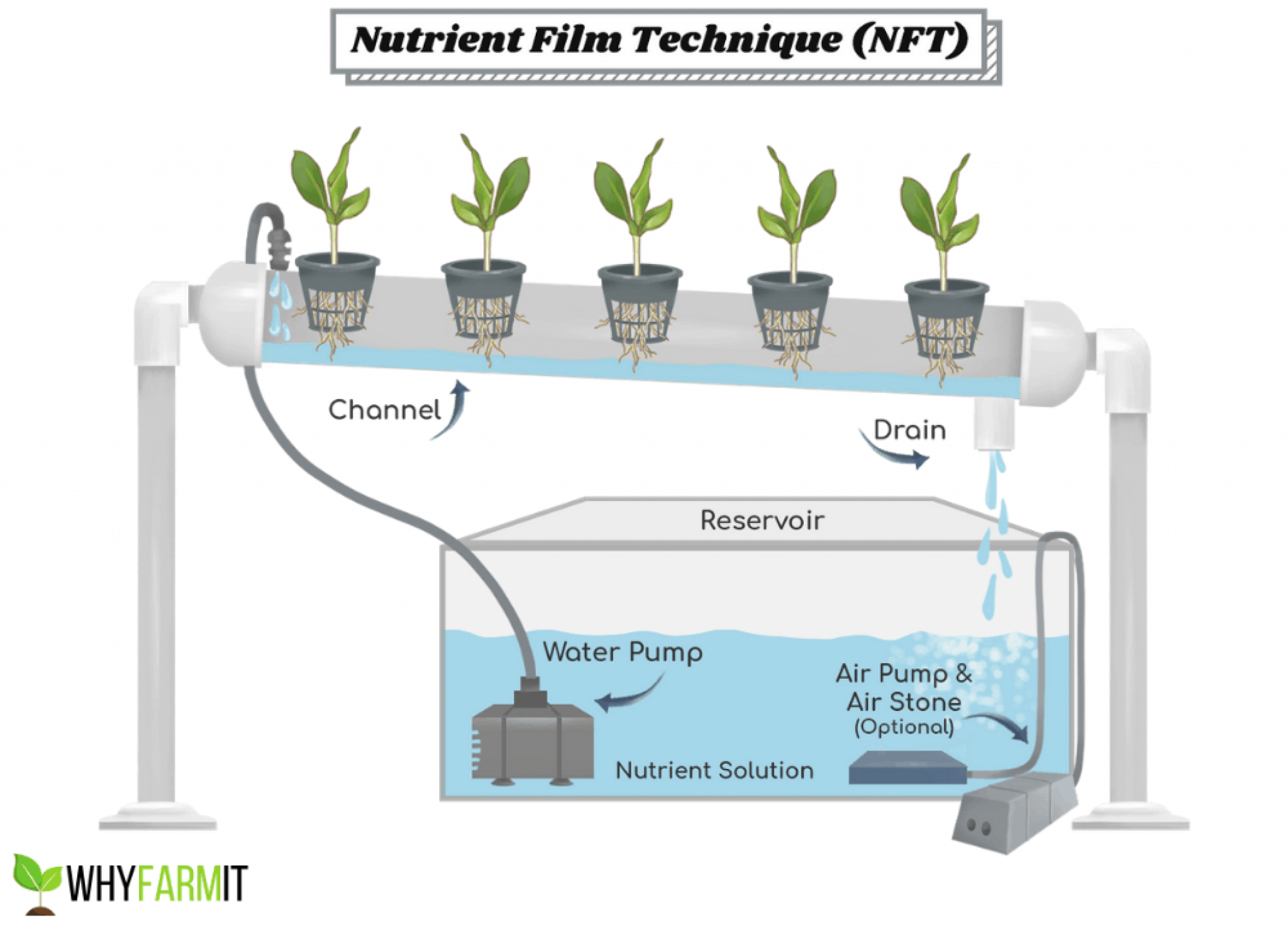 葉菜俠科技，NFT，水培示意圖